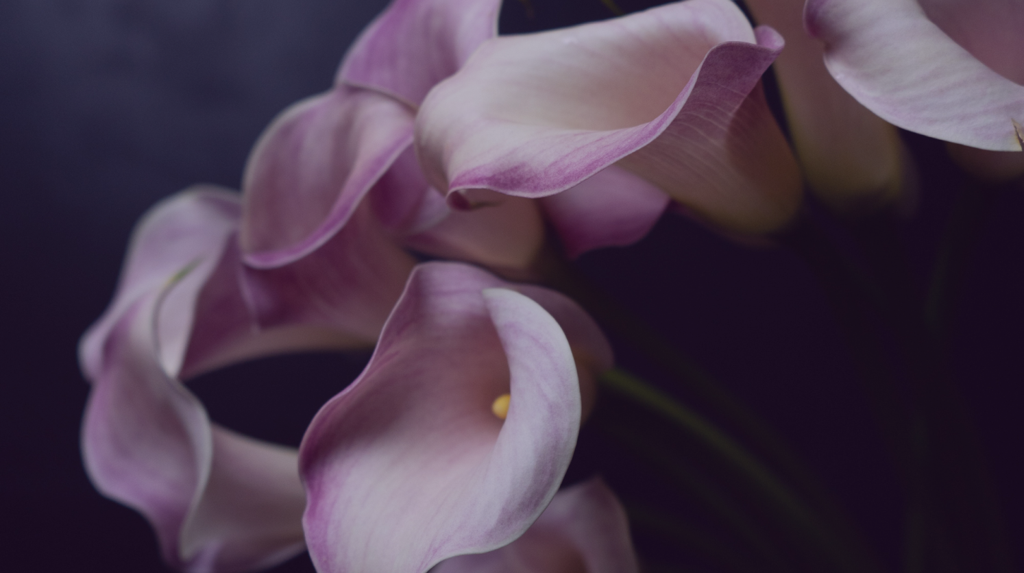 Heartache to Healing-2