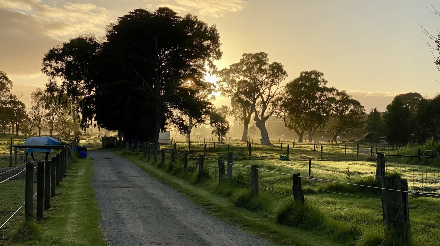 New Dawn